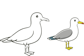 A ring-billed gull coloring page features a bird with a distinct black ring around its yellow bill, white body, gray wings, and yellow legs, set against a simple background.