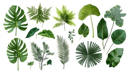 Green foliage silhouettes on white background, horizontal, ideal for environmental campaigns, Earth Day celebrations, botanical content and eco-friendly initiatives
