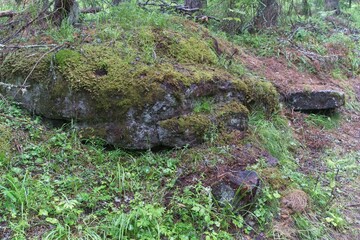  Granite stone covered with moss in the forest of Valaam Island.                              