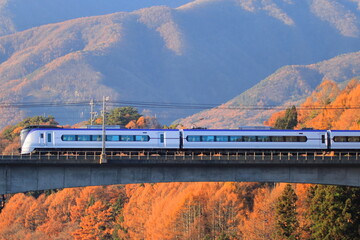 紅葉の山から飛び出したE353系特急あずさ号_2022/11/18撮影