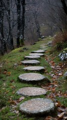 Obraz premium 47. A serene mountain trail with 3D circles as stepping stones