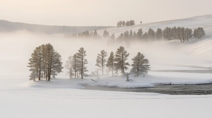 Serene river valley covered in fog, pine trees peeking through as sunlight softly illuminates the landscape.