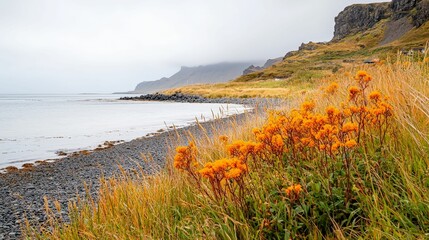 background concept. Scenic coastal landscape with vibrant orange flowers and rocky shores under a cloudy sky.