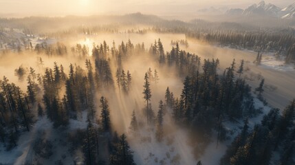Fototapeta premium Sunrise over Finland frost-covered forest lake, golden light, mist hovering over the water, and majestic pines.