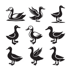 Duck Vector Art Silhoutte Graphics