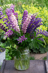 Bouquet of lupines in a jar in the garden