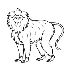 Fototapeta premium Baboon vector art illustration