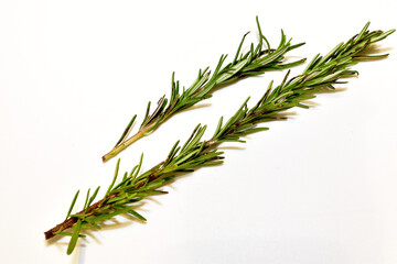 A dried branch of the rosemary plant, a spice used in cooking.