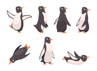 Penguins. Funny arctic animals in action poses cute penguins jumping running walking exact vector polar characters © ONYXprj