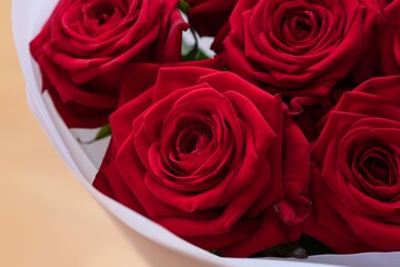 Close-up shot of beautiful bouquet of red roses