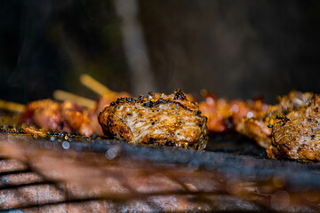 Grilled chicken wings and shish kebab on the barbecue with smoke and fire