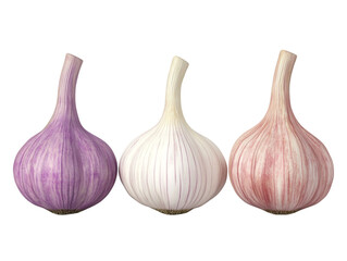 Fototapeta premium Set of garlic, including whole bulbs and cloves, icon isolated on a transparent background, ideal for culinary visuals, food product presentations, or kitchen design elements.