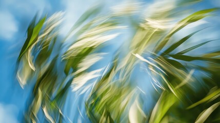 Motion blurred green leaves swaying gently against a bright blue sky creating a serene nature abstract background.
