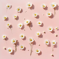 Obraz premium Daisies on Pink Background