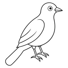 Fototapeta premium A cute bird vector art line for coloring pages