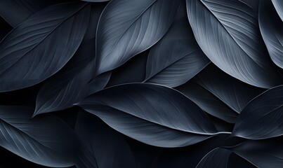Fototapeta premium Modern Backgrounds with Dark Leaf Patterns and Sleek
