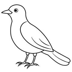 Obraz premium A cute bird vector art line for coloring pages