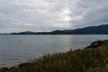reeds and island at the seaside