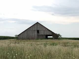 old barn in the field