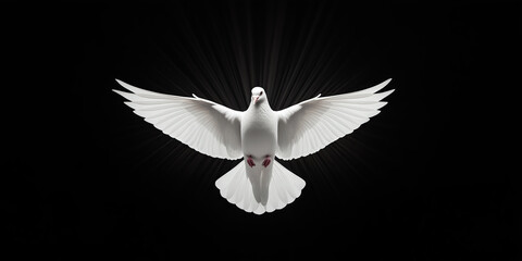 Majestic white dove with spreaded wings with god rays and black backround. 