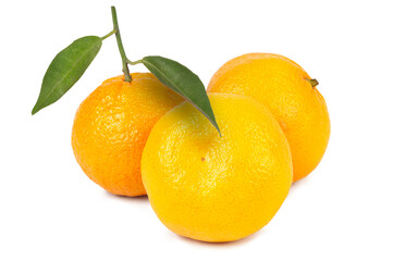 Fresh citrus fruits with green leaves ready for harvest in a bright natural setting showcasing their vibrant colors and textures
