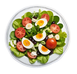 salad with tomatoes and eggs illustration