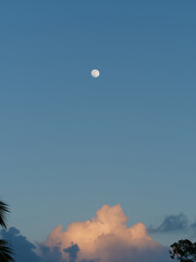A bright moon shines in a clear blue sky as fluffy clouds catch the last light of day. Palm trees frame the serene view, creating a peaceful atmosphere at dusk.