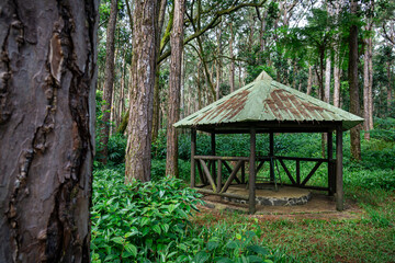 Pavillon in forest for hikers to rest and relax. Sophie Nature park at La Marie, Mauritius