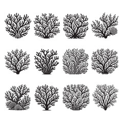 Coral seamless Silhouette Vector Illustration, Solid White Background.