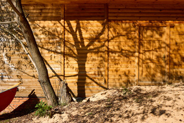 Sunlight Casting Tree Shadows on Wooden Cabin Wall
