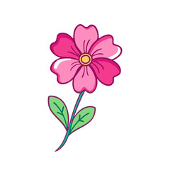 pink flower isolated on white