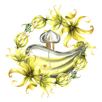 A perfume bottle made of transparent glass with ylang-ylang or kanaga flowers. Vintage yellow perfume.A hand-drawn watercolor illustration. For packaging, postcards and labels, flyers and posters.