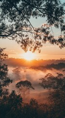 Naklejka premium Serene Sunrise Over Misty Landscape with Eucalyptus Trees in the Early Morning Light Creating a Tranquil and Peaceful Nature Scene