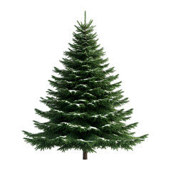Fototapeta premium Christmas Tree isolated on white background