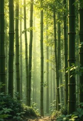 Fototapeta premium Serene bamboo forest with sunlight filtering through green stalks for nature lovers
