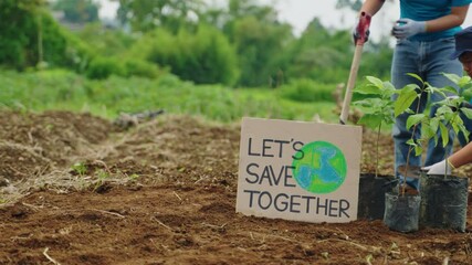 Close-Up of Save the Earth Poster. Highlighting Reforestation to Against Climate Change and Global Crisis. Tree planting, nature care, green activism, environmental volunteer