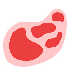 Illustration of an Animal Protein Meat