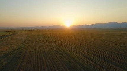 Sunrise Over Fields with Rolling Hills and Gentle Horizon in Background
