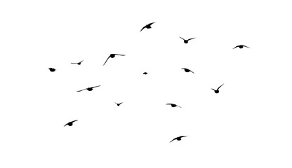Flying birds silhouette flock. hand drawing. Not AI. Vector illustration.