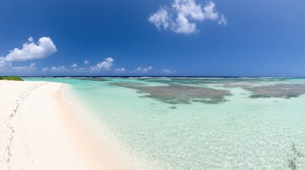 Serene Tropical Beach with Crystal Clear Water and Scenic Blue Sky