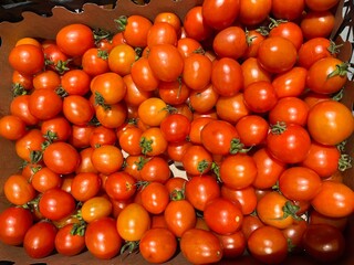 Delicious red tomatoes. Summer tray market agriculture farm full of organic vegetables It can be used as background.