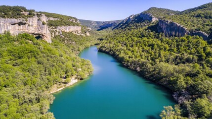 Serene Aerial View of a Curved River Surrounded by Lush Green Forests