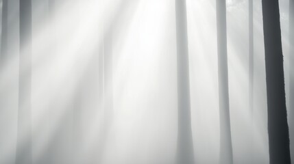 Ethereal Light Beams Streaming Through Misty Forest Trees in Morning Glow