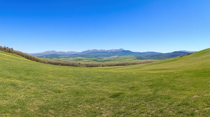 Expansive Green Meadow with Mountains Under Clear Blue Sky in Springtime
