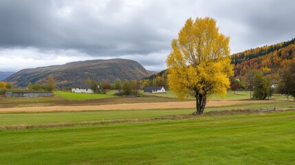 Vibrant Autumn Landscape with Yellow Tree in Norwegian Countryside