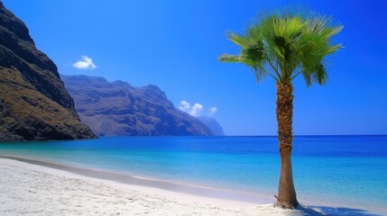 Scenic Tropical Beach with Palm Tree and Blue Ocean Under Clear Sky