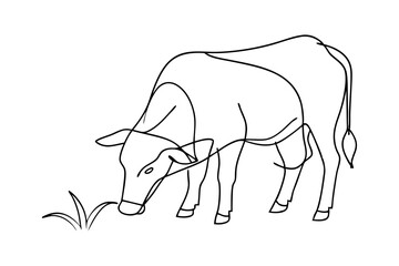 Cow Grazing on Grass Peaceful Farm Scene on White Background