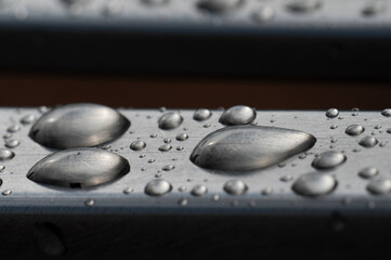 Rainy day in early autumn