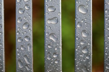 Rainy day in early autumn