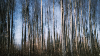 trees with motion blur